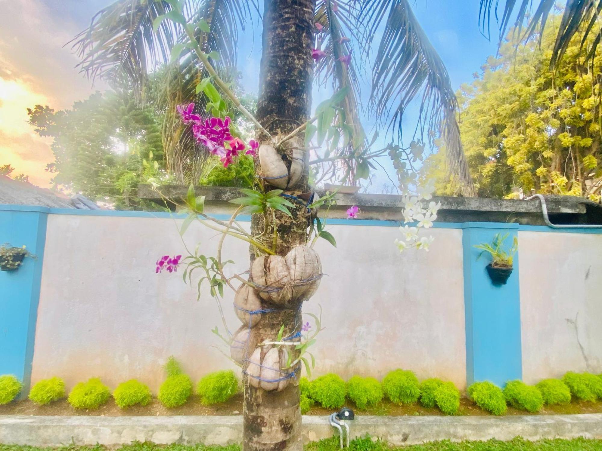 Villa Riverside Aluthgama Kültér fotó